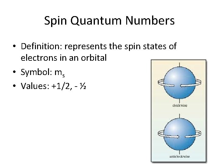 Spin Quantum Numbers • Definition: represents the spin states of electrons in an orbital