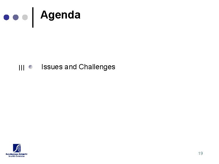 Agenda III Issues and Challenges 19 