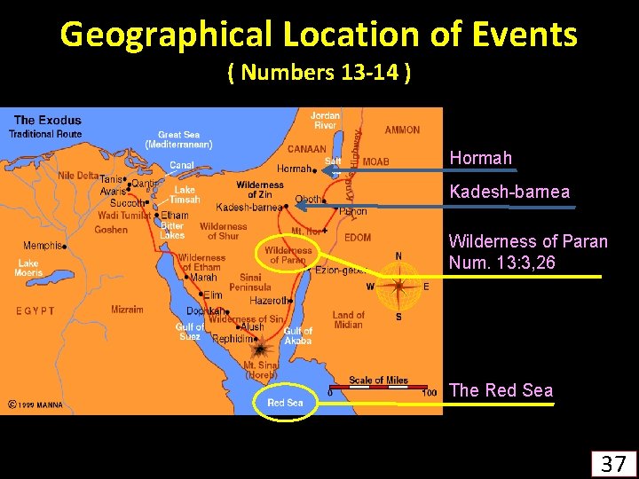 Geographical Location of Events ( Numbers 13 -14 ) Hormah Kadesh-barnea Wilderness of Paran