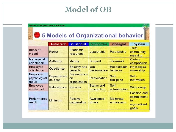 Model of OB 