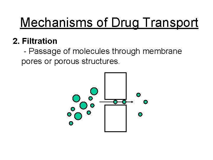 Mechanisms of Drug Transport 2. Filtration - Passage of molecules through membrane pores or