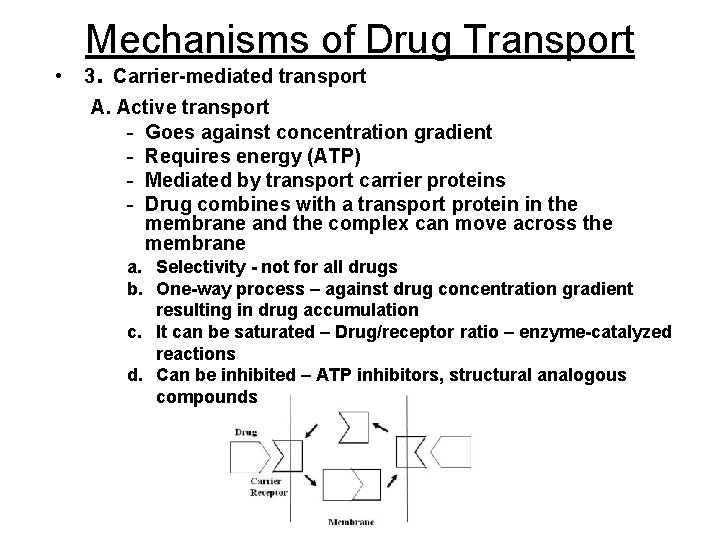 Mechanisms of Drug Transport • . 3 Carrier-mediated transport A. Active transport - Goes