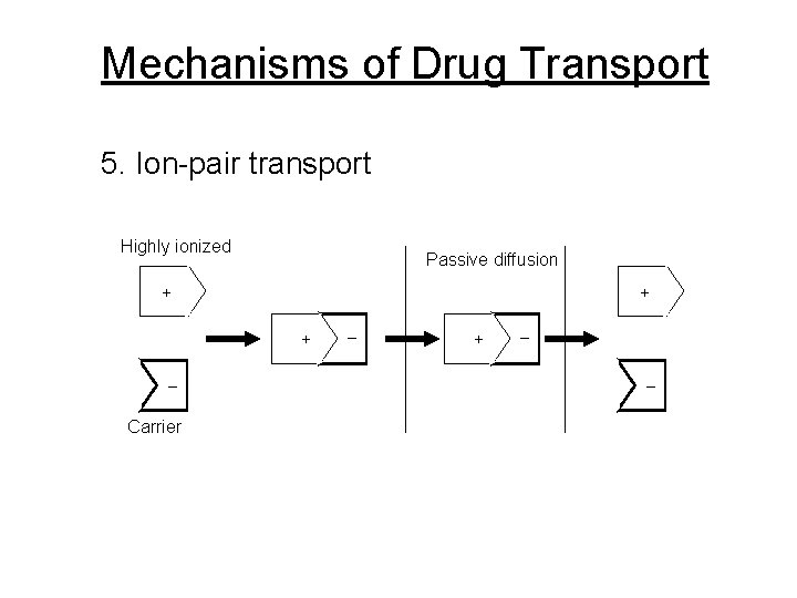 Mechanisms of Drug Transport 5. Ion-pair transport Highly ionized Passive diffusion + + +