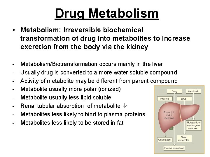 Drug Metabolism • Metabolism: Irreversible biochemical transformation of drug into metabolites to increase excretion