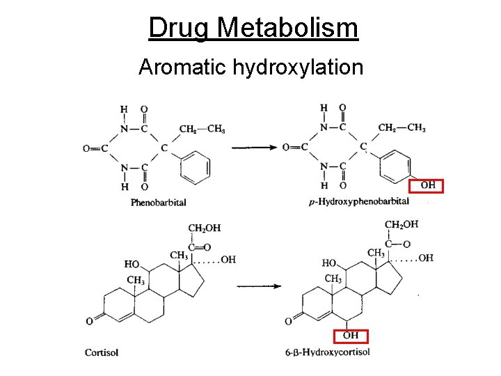 Drug Metabolism Aromatic hydroxylation 