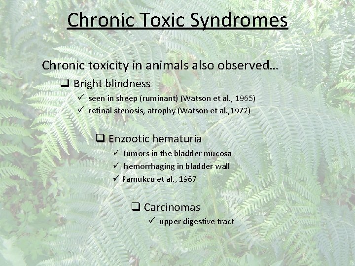 Chronic Toxic Syndromes Chronic toxicity in animals also observed… q Bright blindness ü seen