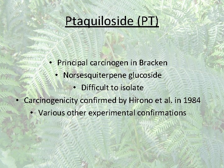 Ptaquiloside (PT) • Principal carcinogen in Bracken • Norsesquiterpene glucoside • Difficult to isolate