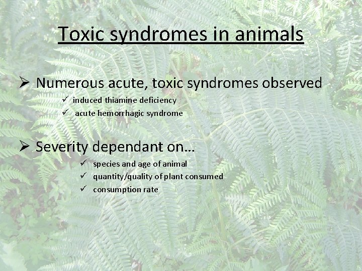 Toxic syndromes in animals Ø Numerous acute, toxic syndromes observed ü induced thiamine deficiency