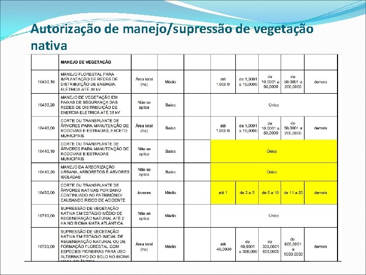 Autorização de manejo/supressão de vegetação nativa 