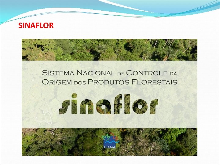 SINAFLOR 