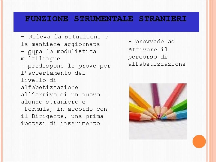 FUNZIONE STRUMENTALE STRANIERI - Rileva la situazione e la mantiene aggiornata - � cura