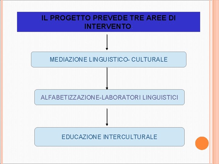 IL PROGETTO PREVEDE TRE AREE DI INTERVENTO: MEDIAZIONE LINGUISTICO- CULTURALE ALFABETIZZAZIONE-LABORATORI LINGUISTICI EDUCAZIONE INTERCULTURALE