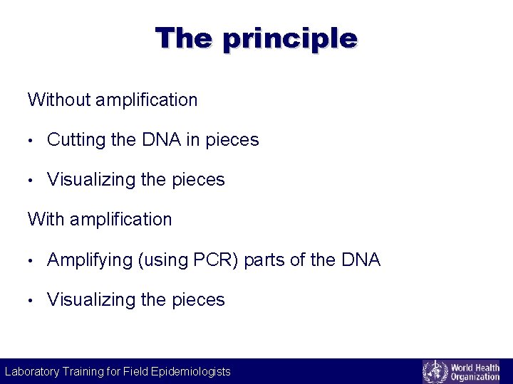 The principle Without amplification • Cutting the DNA in pieces • Visualizing the pieces