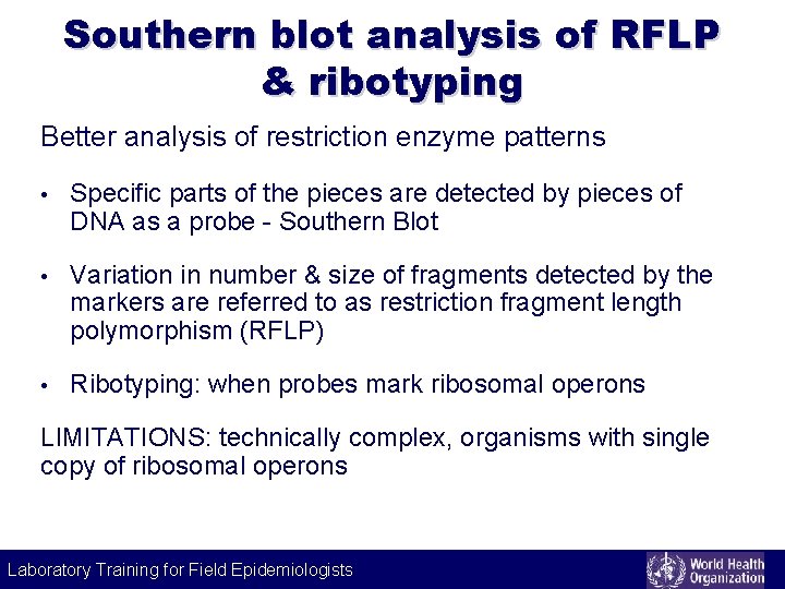 Southern blot analysis of RFLP & ribotyping Better analysis of restriction enzyme patterns •