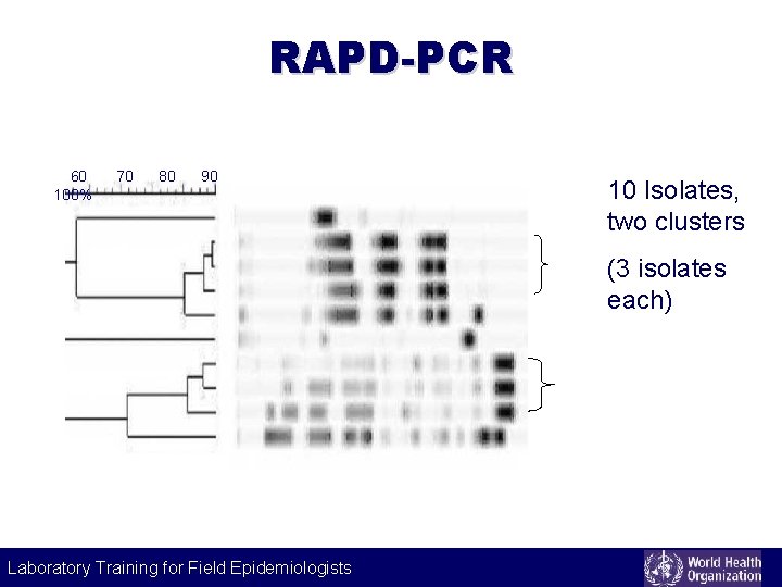RAPD-PCR 60 100% 70 80 90 10 Isolates, two clusters (3 isolates each) Laboratory
