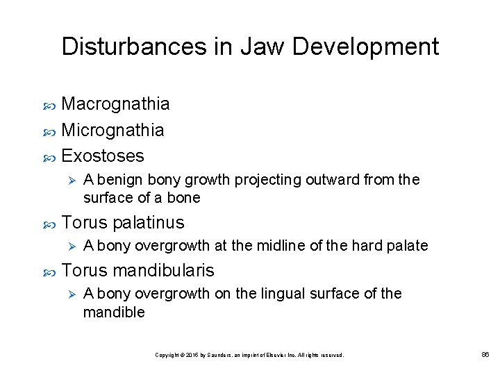 Disturbances in Jaw Development Macrognathia Micrognathia Exostoses Ø Torus palatinus Ø A benign bony