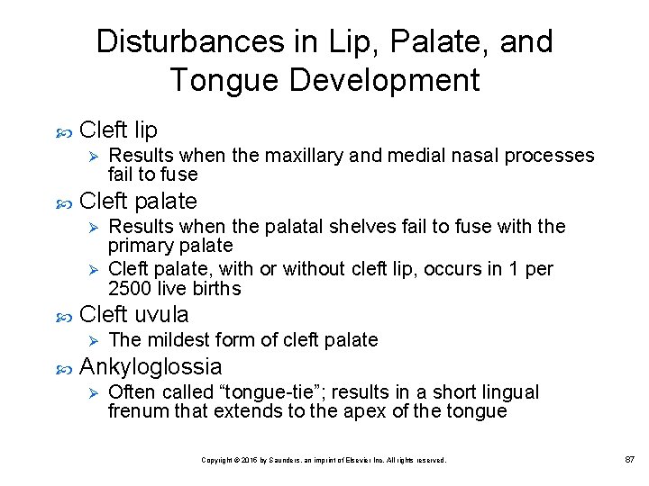 Disturbances in Lip, Palate, and Tongue Development Cleft lip Ø Cleft palate Ø Ø