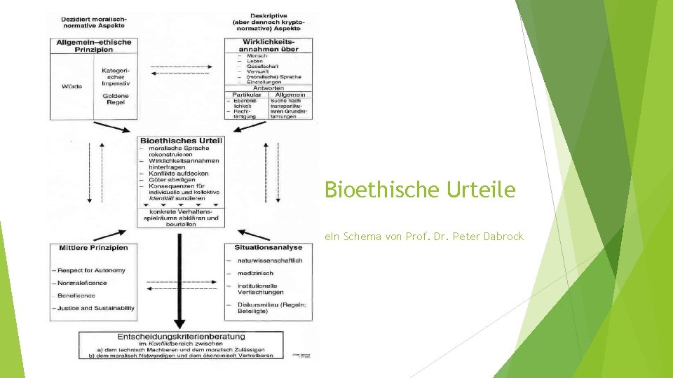 Bioethische Urteile ein Schema von Prof. Dr. Peter Dabrock 
