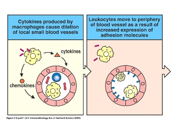 Figure 2 -8 part 1 of 2 