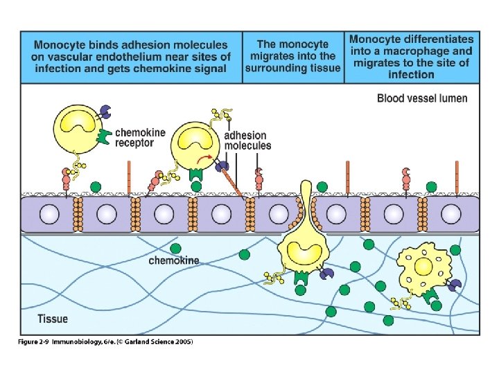 Figure 2 -9 