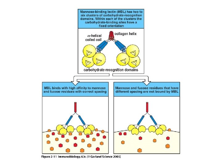 Figure 2 -11 