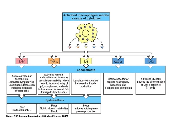 Figure 2 -39 