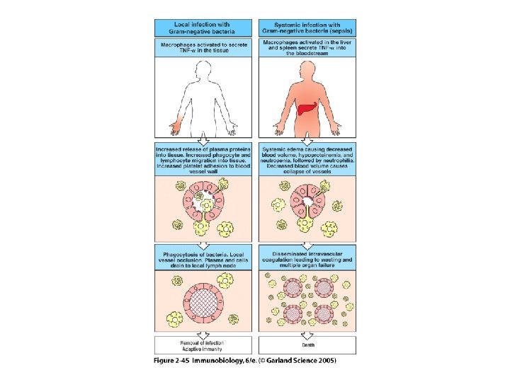 Figure 2 -45 