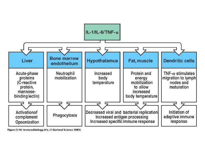 Figure 2 -46 