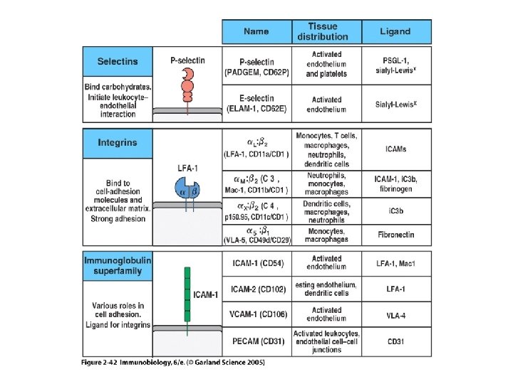 Figure 2 -42 