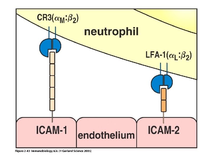 Figure 2 -43 