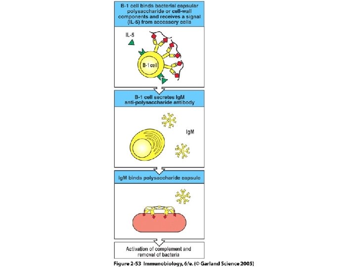 Figure 2 -53 