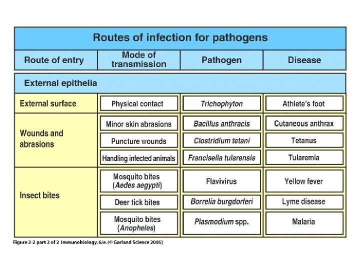 Figure 2 -2 part 2 of 2 