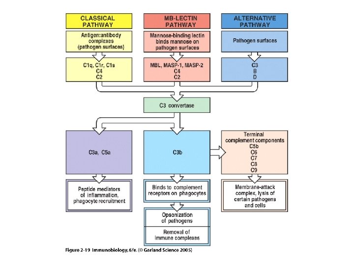 Figure 2 -19 