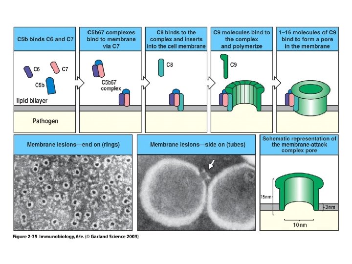 Figure 2 -35 