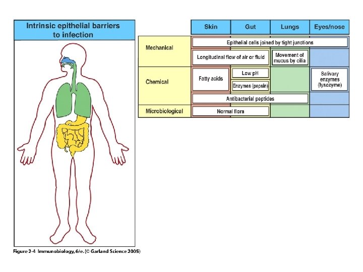 Figure 2 -4 