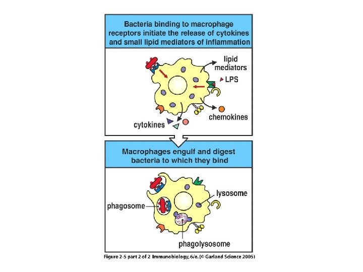 Figure 2 -5 part 2 of 2 