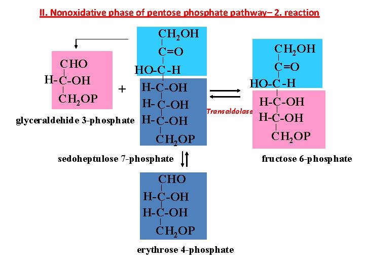 II. Nonoxidative phase of pentose phosphate pathway– 2. reaction CH 2 OH C=O CHO