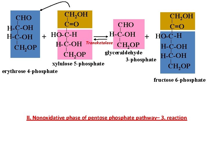 CH 2 OH C=O CHO C=O H- C-OH + HO-C -H + HO- C-H