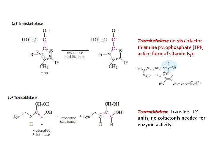 Transketolase needs cofactor thiamine pyrophosphate (TPP, active form of vitamin B 1). Transaldolase transfers