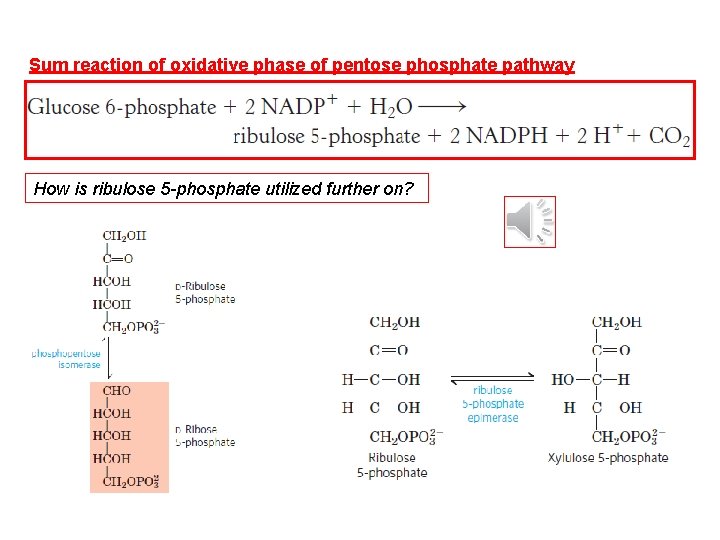 Sum reaction of oxidative phase of pentose phosphate pathway How is ribulose 5 -phosphate