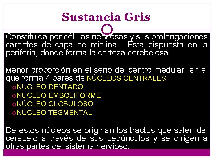 Sustancia Gris Constituida por células nerviosas y sus prolongaciones carentes de capa de mielina.
