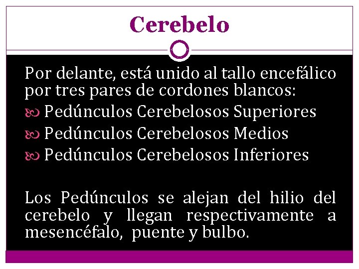 Cerebelo Por delante, está unido al tallo encefálico por tres pares de cordones blancos:
