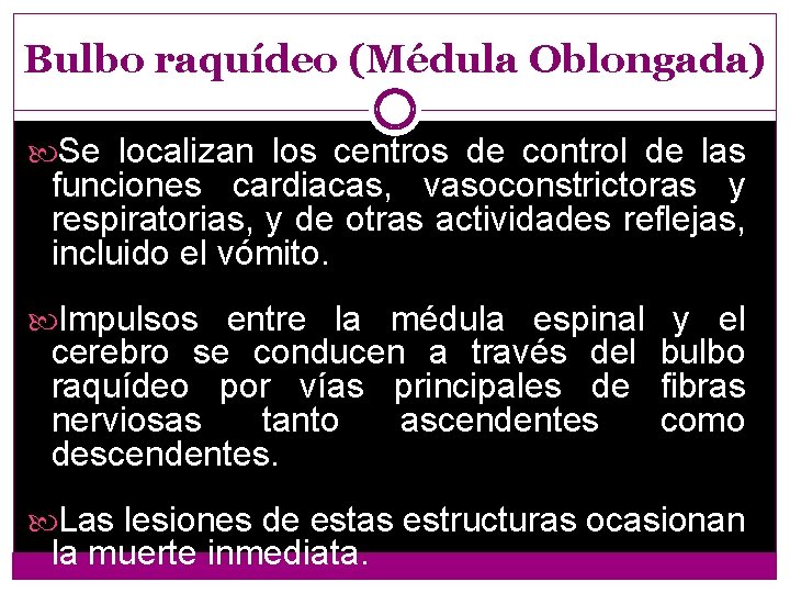 Bulbo raquídeo (Médula Oblongada) Se localizan los centros de control de las funciones cardiacas,