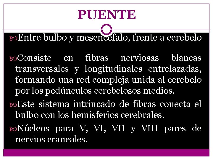 PUENTE Entre bulbo y mesencéfalo, frente a cerebelo Consiste en fibras nerviosas blancas transversales