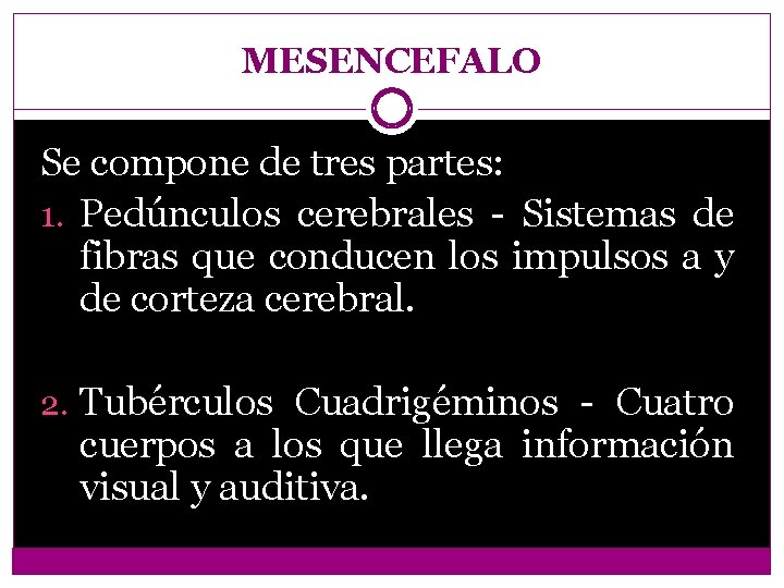 MESENCEFALO Se compone de tres partes: 1. Pedúnculos cerebrales - Sistemas de fibras que