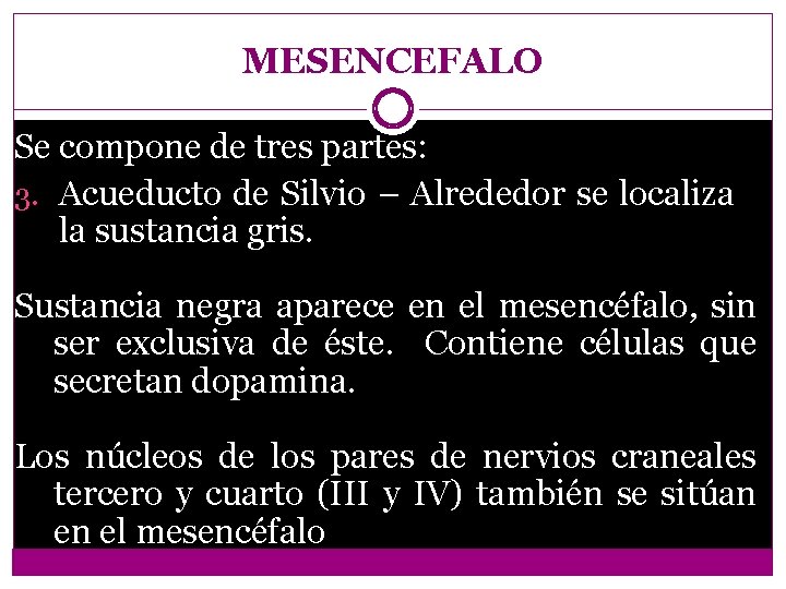 MESENCEFALO Se compone de tres partes: 3. Acueducto de Silvio – Alrededor se localiza