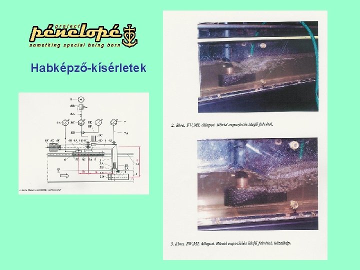 Habképző-kísérletek 