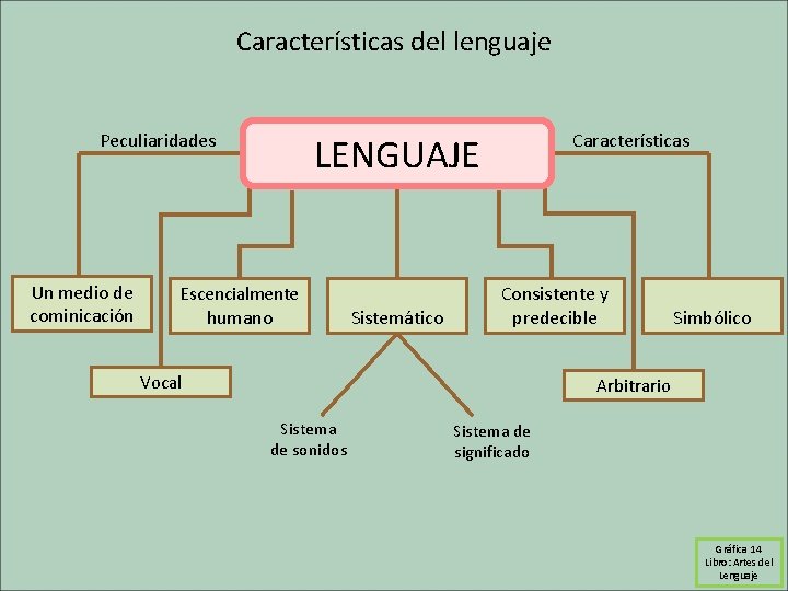 Características del lenguaje Peculiaridades Un medio de cominicación Características LENGUAJE Escencialmente humano Sistemático Consistente