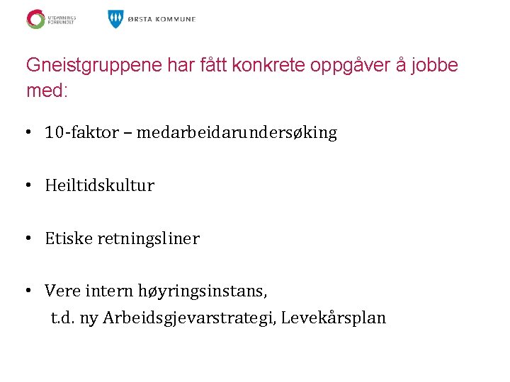 Gneistgruppene har fått konkrete oppgåver å jobbe med: • 10 -faktor – medarbeidarundersøking •