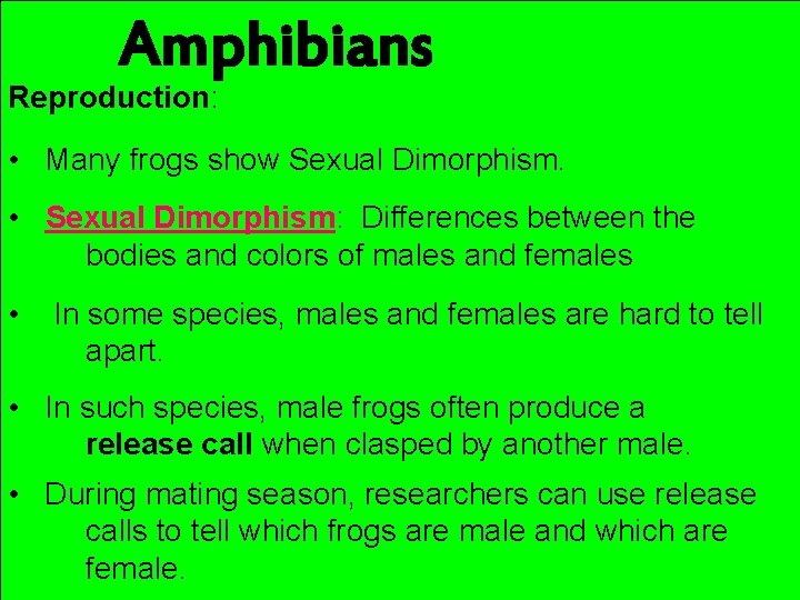 Amphibians Reproduction: • Many frogs show Sexual Dimorphism. • Sexual Dimorphism: Differences between the